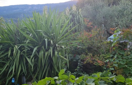 Coaraze Bed & Breakfast | Chambres d'hôtes des Oliviers