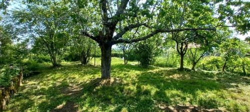 Sainte-Eulalie House | chambres d'hôtes Imago