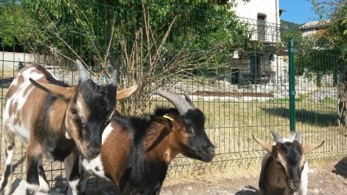 Entrevaux House | Chambres d'hotes - La Maison de Julie