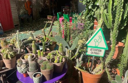 Douai House | Chambres dans maison de centre ville