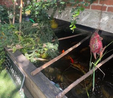 Douai House | Chambres dans maison de centre ville