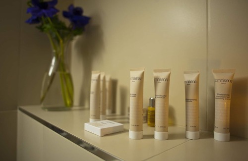 Les Gets Hotel | Chamois d'Or Hotel & Spa