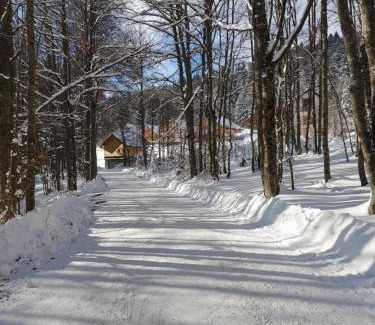 La Feclaz Apartment | Chan(se)