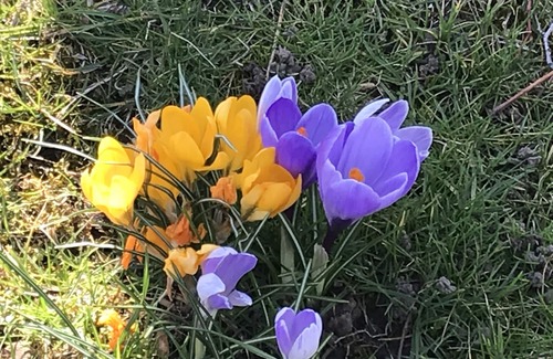 Senezergues House | Character cottage at Domaine du Valat