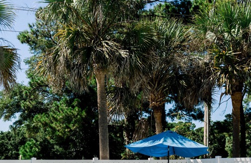 Calabash House | Charm of Calabash -- Short Drive to the Beach Two Bedroom- Condo