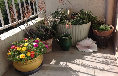 Saint-Giniez Apartment | Charm, quietness, beach, city, ideal location and 5 minutes from motorways