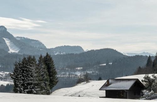 Araches-la-Frasse Apartment | Charmant 2 pièces cabine, 4 pers, terrasse sud, proche village et pistes, parking privé - FR-1-572-293