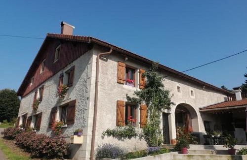 Le Tholy House | Charmant meublé au calme, proche cascades, randos, chevaux, parking et terrasse privée, WiFi gratuit - FR-1-589-365
