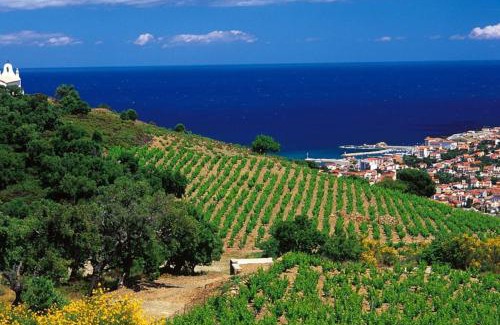 Banyuls-sur-Mer House | Charmant séjour au cœur des vignes de Banyuls