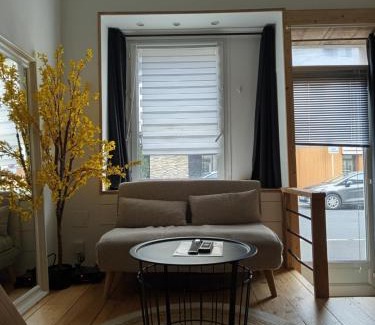Cherbourg-en-Cotentin Apartment | CHARMANT STUDIO à 2 pas de NAVAL GROUP au coeur d une rue commerçante