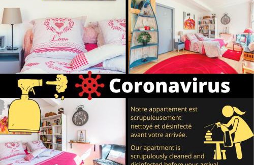 Petite-France Apartment | ☆ CHARMANT STUDIO ☆ Calme & Lumineux - CENTRE VILLE ☆