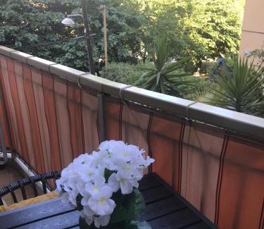 Cimiez Apartment | Charmant Studio proche du Centre-Ville