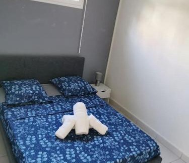 Gourbeyre Apartment | Charmant T2 bas de villa