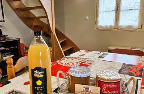 Sazilly House | Charmante maison en pierre avec jardin, près de Chinon, Wifi inclus - FR-1-381-608