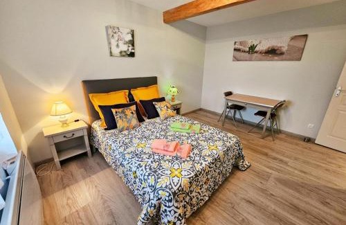 Sazilly House | Charmante maison en pierre avec jardin, près de Chinon, Wifi inclus - FR-1-381-608