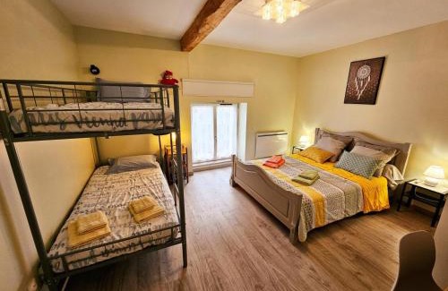 Sazilly House | Charmante maison en pierre avec jardin, près de Chinon, Wifi inclus - FR-1-381-608