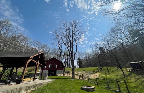 Hendersonville Cottage | Charming 2-bedroom cottage with WiFi and AC in Hendersonville