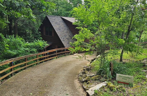 Topton Cabin | Charming 2-bedroom cabin in Topton