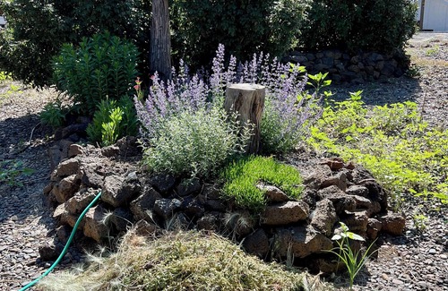 Larkspur House | Charming 2-bedroom house in pleasant Bend