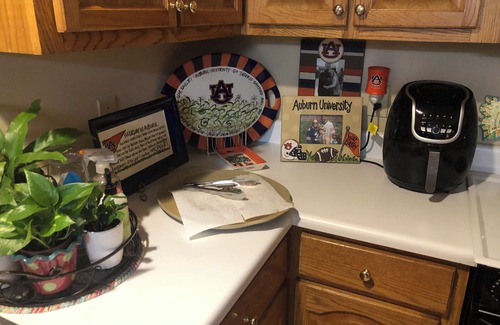 Auburn House | Charming 2-bedroom townhome in welcoming Auburn with AC, WiFi, 1897 Sqare feet