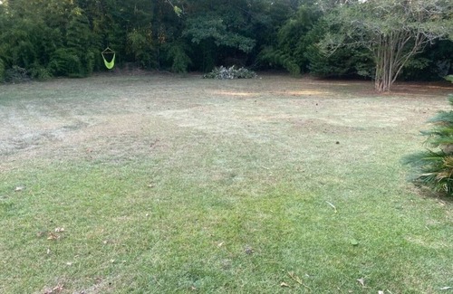 St. Francisville House | Charming 3-bedroom house in the heart of Saint Francisville La.