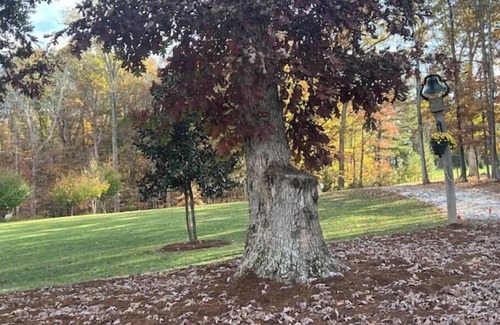 Piney Mountain House | Charming 3-bedroom house with WiFi and AC in historic Appomattox