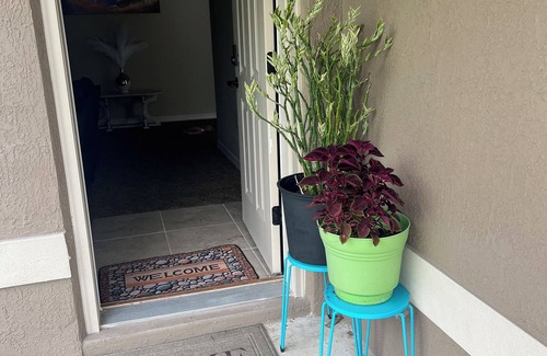 Ocala House | Charming 3-bedroom house with AC, WiFi in awesome Ocala
