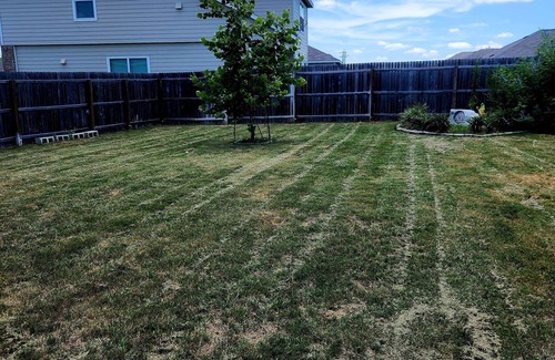 Seguin House | Charming 3-bedroom house with WiFi and AC in Seguin