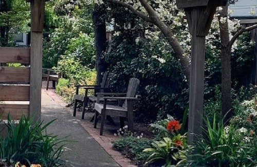 Alameda Apartment | Charming Alameda Bungalow Easy Access to San Francisco, Beach, Redwoods, Marinas