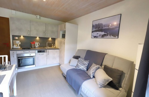 La Bresse Apartment | Charming apartment 1/3 pers, free 01/11 to 06/11.