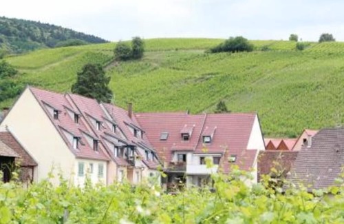 Riquewihr Apartment | Charming apartment with vineyard view