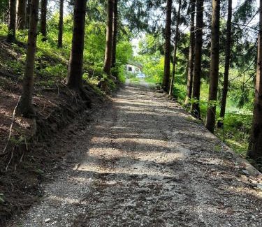 Rohrbach an der Lafnitz Ski Chalet | Charming 18th Century Wooden cottage