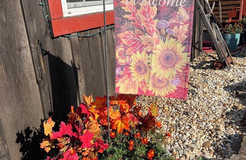 Rogersville House | Charming barn with AC in Rogersville - 2 bedrooms available