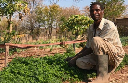 Victoria Falls Apartment | Charming Bush chalet 5 on this world renowned Eco site 40 minutes from Vic Falls Fully catered stay - 1985