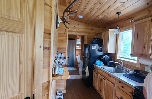 Ferryville Cabin | Charming Cabin in the Woods and Near the Mississippi
