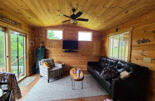 Ferryville Cabin | Charming Cabin in the Woods and Near the Mississippi