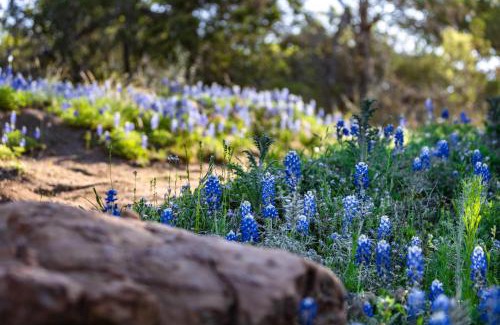 Llano House | Charming Cabin in the Heart of the TX Hill Country