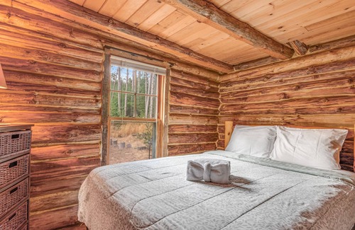Wisconsin Dells Cabin | Charming cabin with game room, fireplace, hammock, & kitchenette