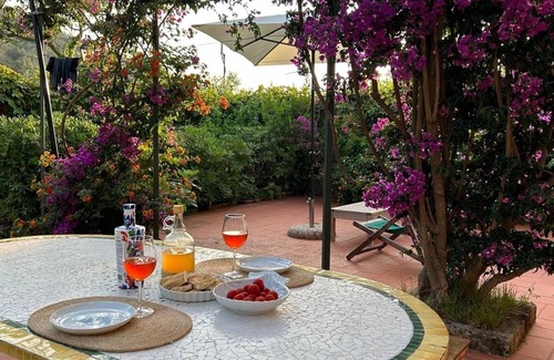 Rio nell'Elba Villa | Charming 'casale' of the 19th century surrounded by vineyards. 600 m to the sea