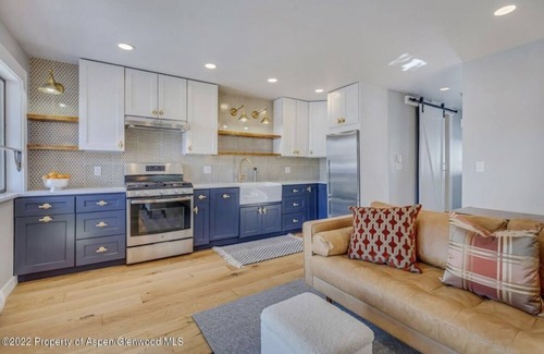 Snowmass Village Condo | Charming Condo overlooking the Roaring Fork River in Old Snowmass