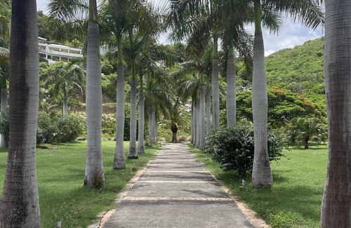 Anse Marcel Apartment | Charming cosy apartment 5mins from the beach