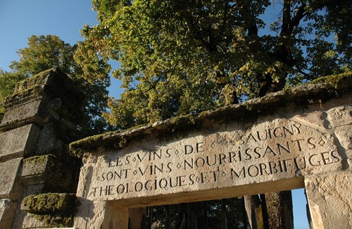 Savigny-les-Beaune Cottage | Charming cottage in the heart of Burgundy climates