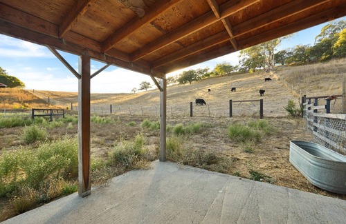 Petaluma Cottage | Charming cottage in Petaluma, outside historic downtown 9 acres with great views