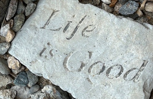 Falmouth Heights Cottage | Charming Cottage Steps from Falmouth Heights Beach