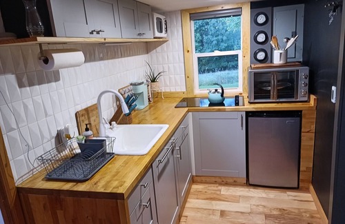 Town of Conesville Cottage | Charming cottage with a mountain view from the wrap-around deck, @upstayz