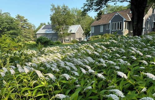 Nelson House | Charming country guest house with 1 bedroom and loft, WiFi, AC in lovely Nelson