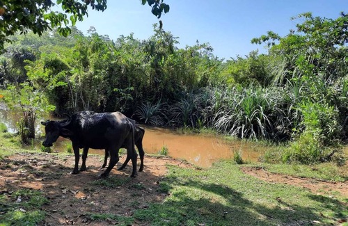 Boossa House | Charming country house with WiFi and AC in enchanting Galle