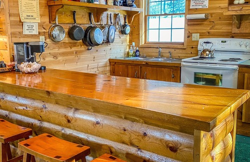 Bessemer Cabin | Charming Cozy Cabin on Ski Trail