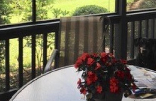 Cummings Cove Condo | Charming Cummings Cove Condo in Golf Community, Western North Carolina