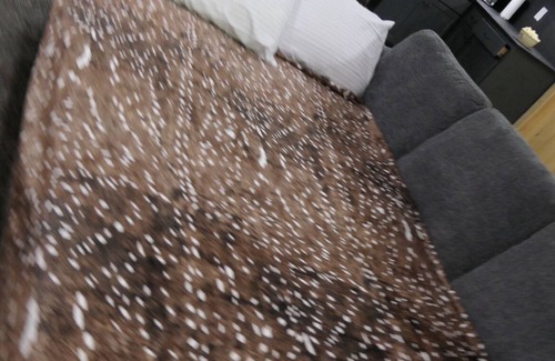 Florence Other | Charming Farmhouse studio ! Packed with modern amenities with all the charm!